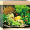 Juwel Aquarium Lido 120 LED Licht Eiken