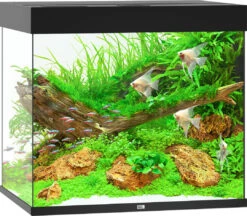 Juwel Aquarium Lido 200 LED Zwart