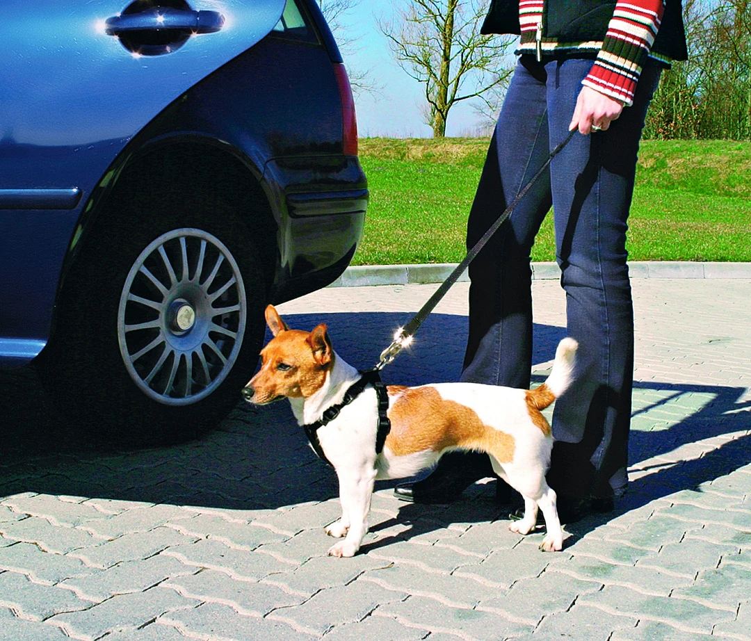 TRIXIE Autotuig Zwart 3 TRIXIE Autotuig Zwart - Afbeelding 3