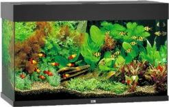 Juwel Aquarium Rio 125 LED Zwart