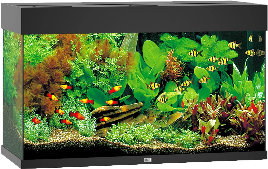 Juwel Aquarium Rio 125 LED Zwart 1 Juwel Aquarium Rio 125 LED Zwart