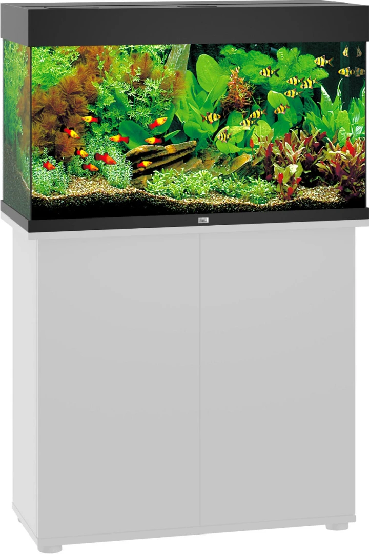 Juwel Aquarium Rio 125 LED Zwart 2 Juwel Aquarium Rio 125 LED Zwart - Afbeelding 2
