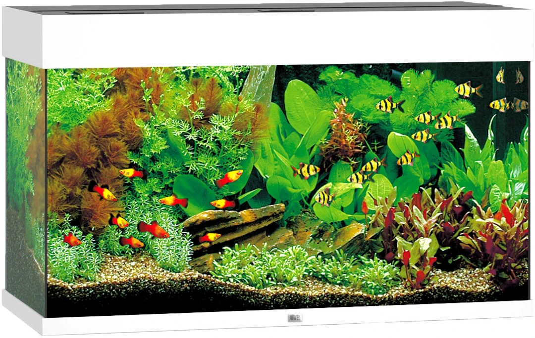 Juwel Aquarium Rio 125 LED Wit 1 Juwel Aquarium Rio 125 LED Wit
