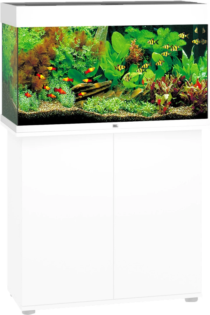 Juwel Aquarium Rio 125 LED Wit 2 Juwel Aquarium Rio 125 LED Wit - Afbeelding 2