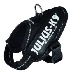 Julius K9 IDC Harness Black
