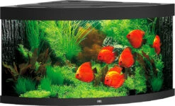 Juwel Aquarium Trigon 350 LED Zwart