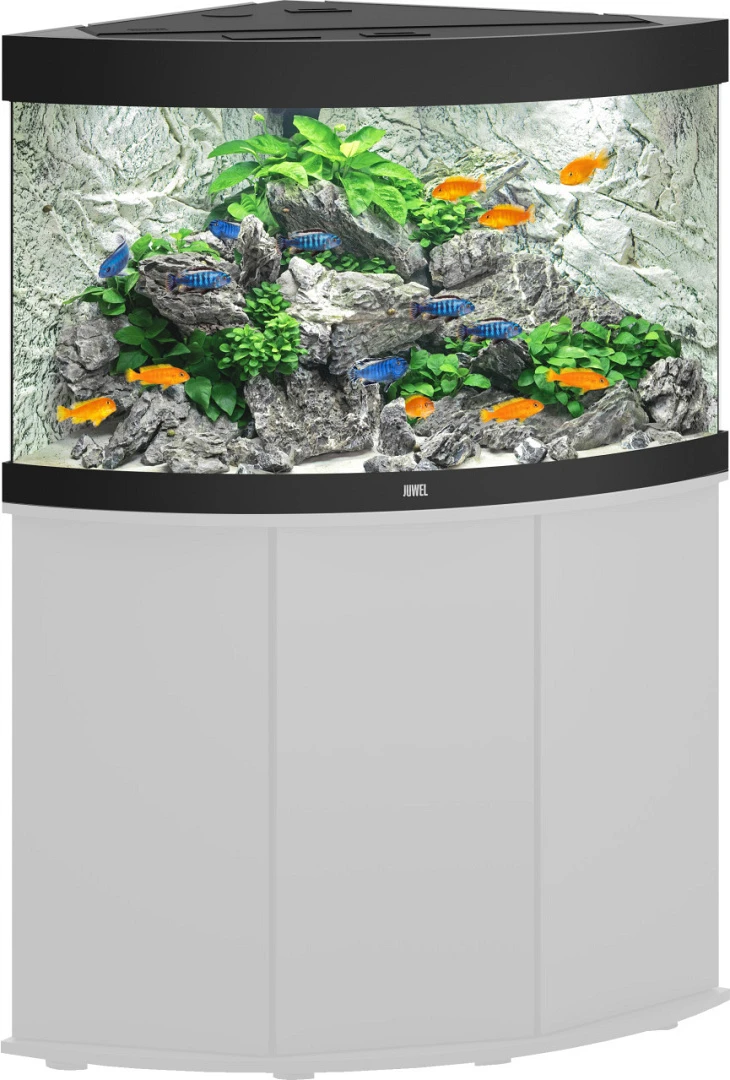 Juwel Aquarium Trigon 190 LED Zwart 2 Juwel Aquarium Trigon 190 LED Zwart - Afbeelding 2