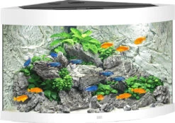 Juwel Aquarium Trigon 190 LED Wit