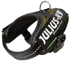 Julius K9 IDC Powerharness Camouflage