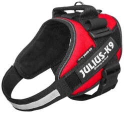 Julius K9 IDC Powerharness Red -Beeztees Winkel 16IDC R 1