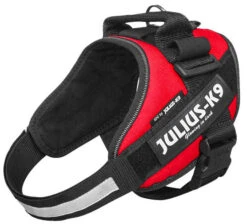 Julius K9 IDC Powerharness Red -Beeztees Winkel 16IDC R 2