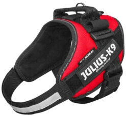 Julius K9 IDC Powerharness Red -Beeztees Winkel 16IDC R 4