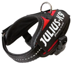 Julius K9 IDC Powerharness Red