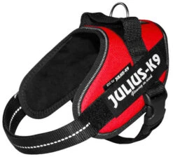 Julius K9 IDC Powerharness Red -Beeztees Winkel 16IDC R M