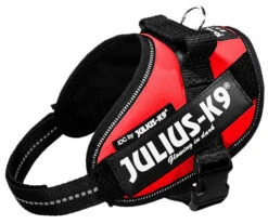 Julius K9 IDC Powerharness Red -Beeztees Winkel 16IDC R MM