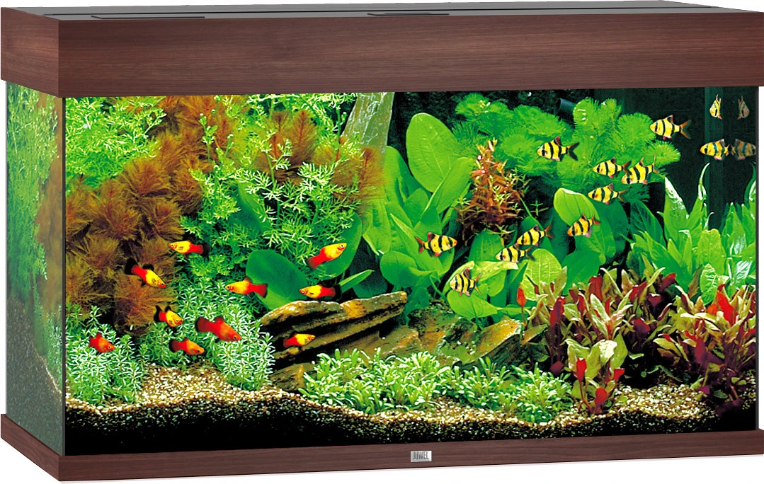 Juwel Aquarium Rio 125 LED Donkerbruin 1 Juwel Aquarium Rio 125 LED Donkerbruin