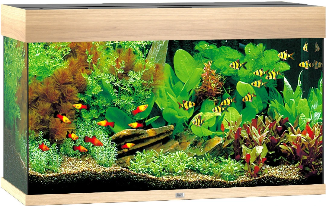 Juwel Aquarium Rio 125 LED Licht Eiken 1 Juwel Aquarium Rio 125 LED Licht Eiken