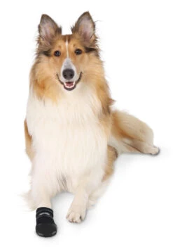 TRIXIE Hondenschoen Walker Care Zwart -Beeztees Winkel 1949 1955 1959 H 2