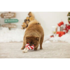 Beeztees Hondenspeelgoed Kerst Lolly -Beeztees Winkel 2400147 2