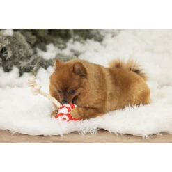 Beeztees Hondenspeelgoed Kerst Lolly -Beeztees Winkel 2400147 3