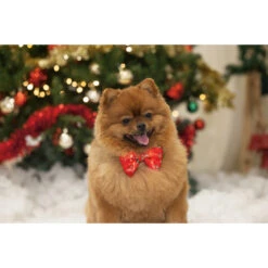 Beeztees Kerststrik En Lampje -Beeztees Winkel 2400155 3