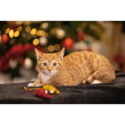 Beeztees Kattenspeelgoed Kerstmuizen 2 St 7 Beeztees Kattenspeelgoed Kerstmuizen 2 St -Beeztees Winkel 2400161 3