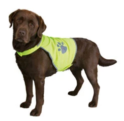 TRIXIE Veiligheidsvest Voor Honden -Beeztees Winkel 30080 30084 2 1