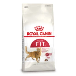 Royal Canin Kattenvoer Fit 32 4 Kg