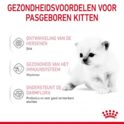 Royal Canin Kattenvoer Babycat Milk 300 Gr -Beeztees Winkel 3182550710862 3
