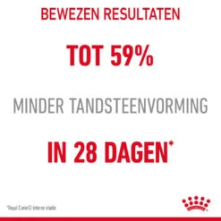 Royal Canin Kattenvoer Dental Care 1,5 Kg -Beeztees Winkel 3182550717182 NL 5