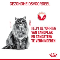 Royal Canin Kattenvoer Dental Care 1,5 Kg -Beeztees Winkel 3182550717182 NL 6