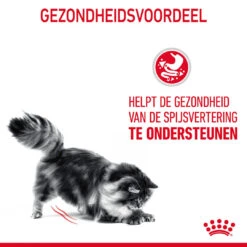 Royal Canin Kattenvoer Digestive Care 400 Gr -Beeztees Winkel 3182550751995 NL 7 1