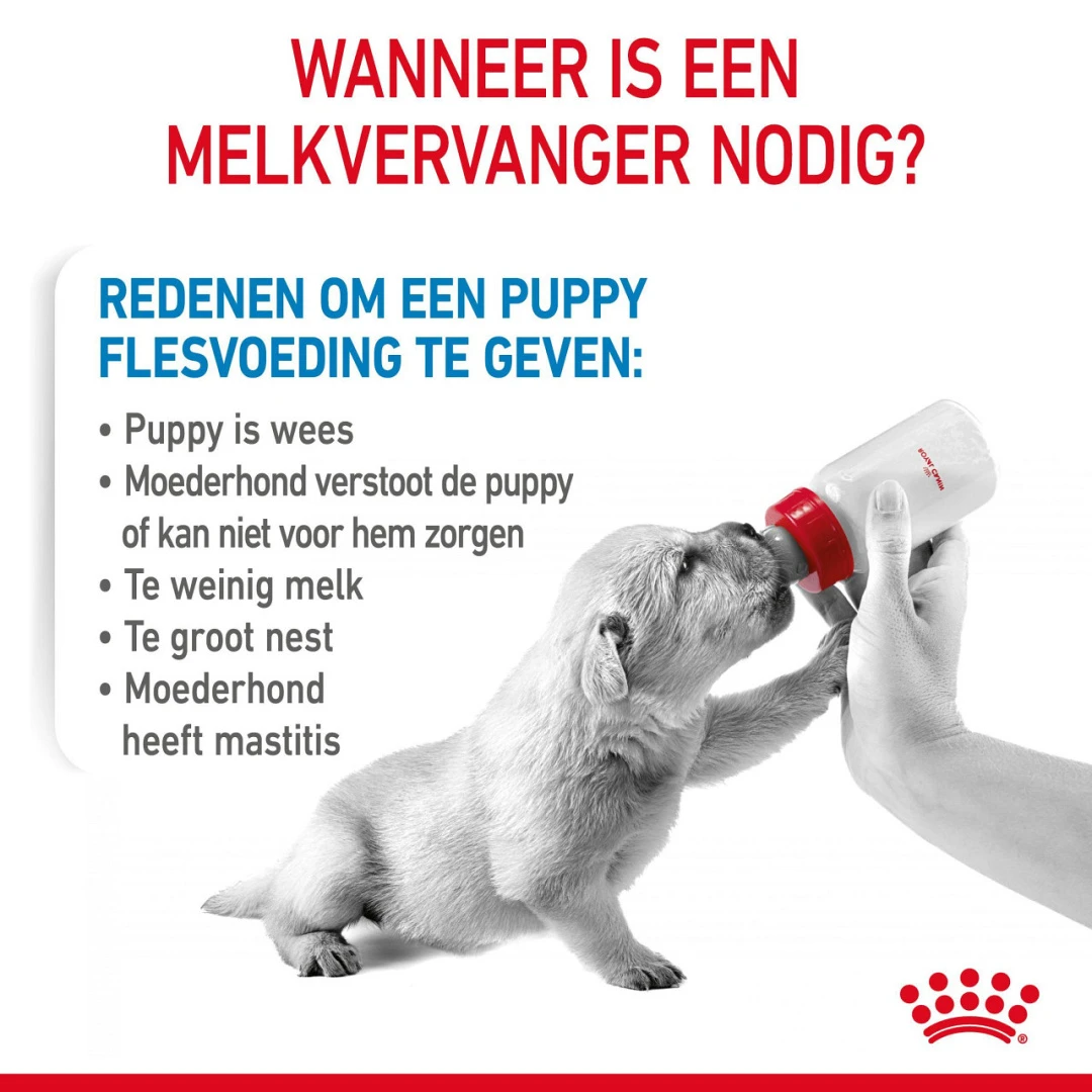 Royal Canin Hondenvoer Babydog Milk 400 Gr 2 Royal Canin Hondenvoer Babydog Milk 400 Gr - Afbeelding 2