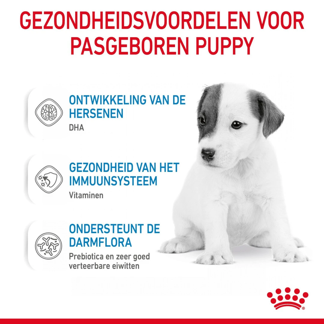 Royal Canin Hondenvoer Babydog Milk 400 Gr 4 Royal Canin Hondenvoer Babydog Milk 400 Gr - Afbeelding 4