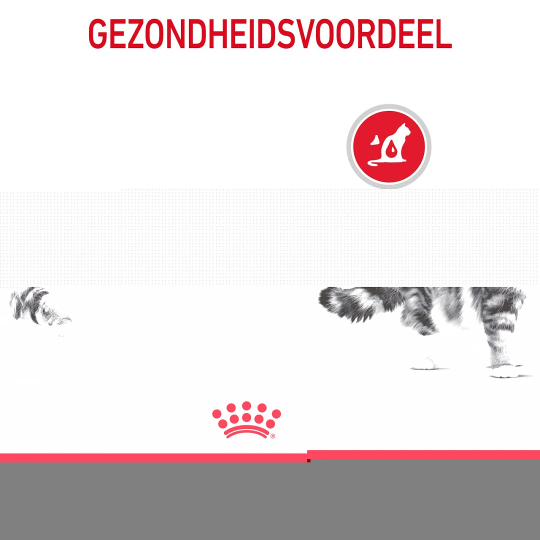 Royal Canin Kattenvoer Urinary Care 10 Kg 4 Royal Canin Kattenvoer Urinary Care 10 Kg - Afbeelding 4