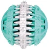 TRIXIE Denta Fun Ball 7 Cm Aqua/wit