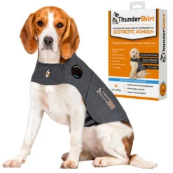 Thundershirt Hond -Beeztees Winkel 3411113088194 1