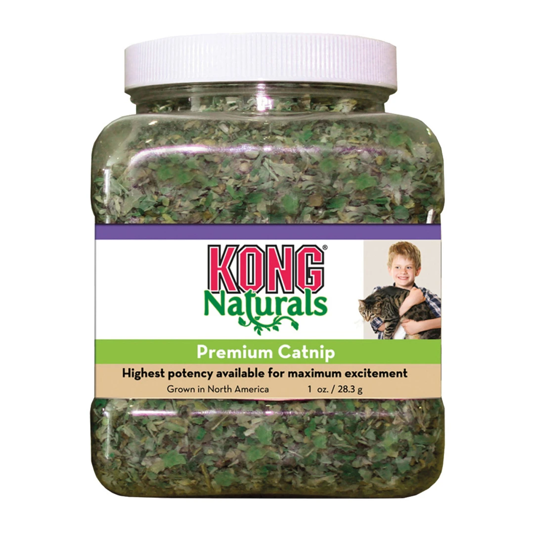 Kong Potje Catnip 28 Gr 1 Kong Potje Catnip 28 Gr