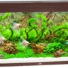 Juwel Aquarium Rio 240 LED Donkerbruin