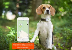 Weenect Dogs 2 GPS Tracker -Beeztees Winkel 3770000300017 4