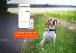 Weenect Dogs 2 GPS Tracker -Beeztees Winkel 3770000300017 5