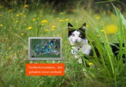 Weenect Cats 2 GPS Tracker -Beeztees Winkel 3770000300109 6