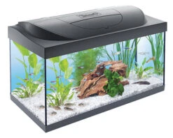 Tetra Aquarium Starter Line 54 Ltr
