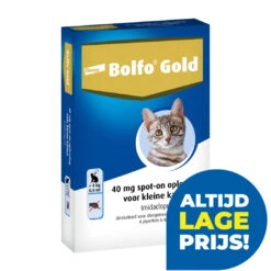 Bolfo Gold Kat 40 4 Pipetten