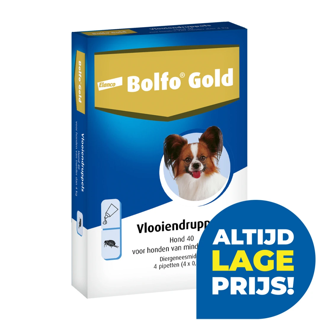 Bolfo Gold 40 Hond 4 Pipetten 1 Bolfo Gold 40 Hond 4 Pipetten