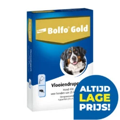 Bolfo Gold 400 Hond 4 Pipetten