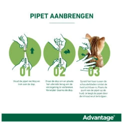 Advantage Kat 40 4 Pipetten -Beeztees Winkel 4007221047407 3