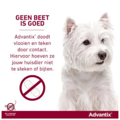 Advantix 100 6 Pipetten 6 Advantix 100 6 Pipetten -Beeztees Winkel 4007221048077 2