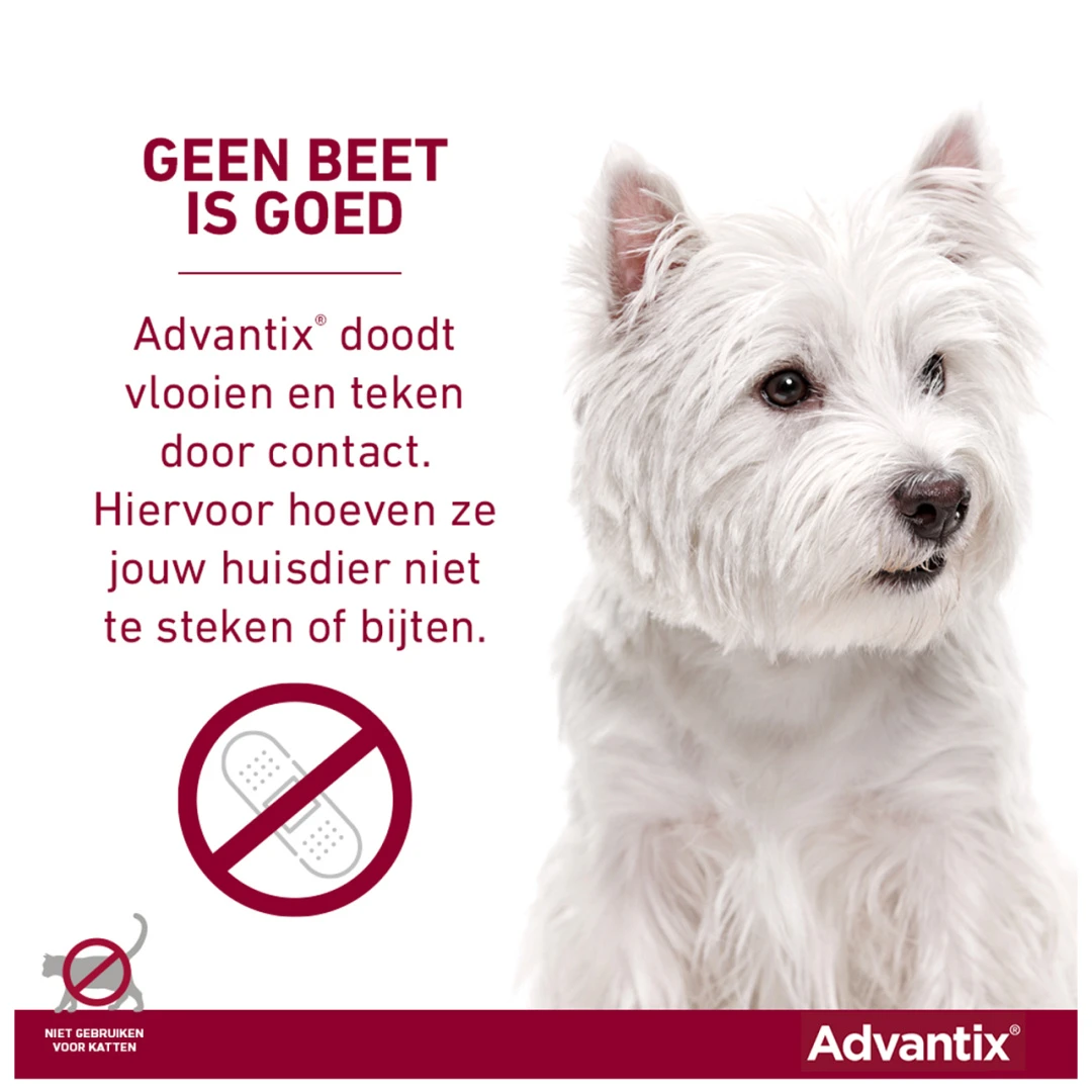 Advantix 100 6 Pipetten 3 Advantix 100 6 Pipetten - Afbeelding 3