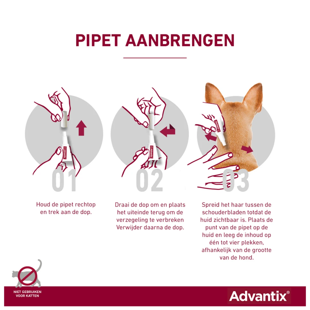Advantix 100 6 Pipetten 4 Advantix 100 6 Pipetten - Afbeelding 4